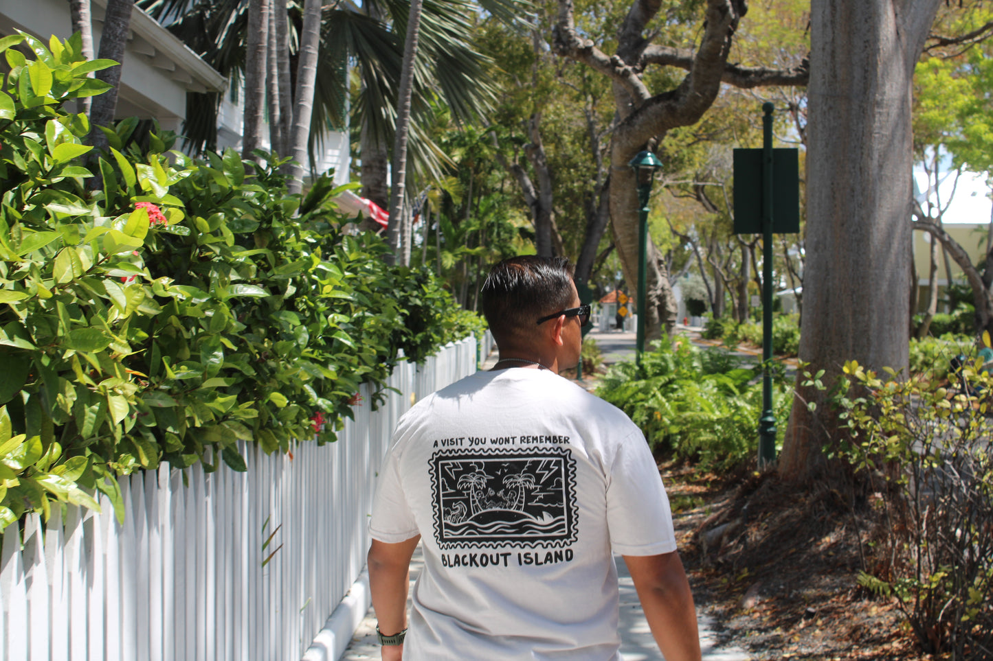 A Visit You Wont Remember Reverse Blackout Island Tee
