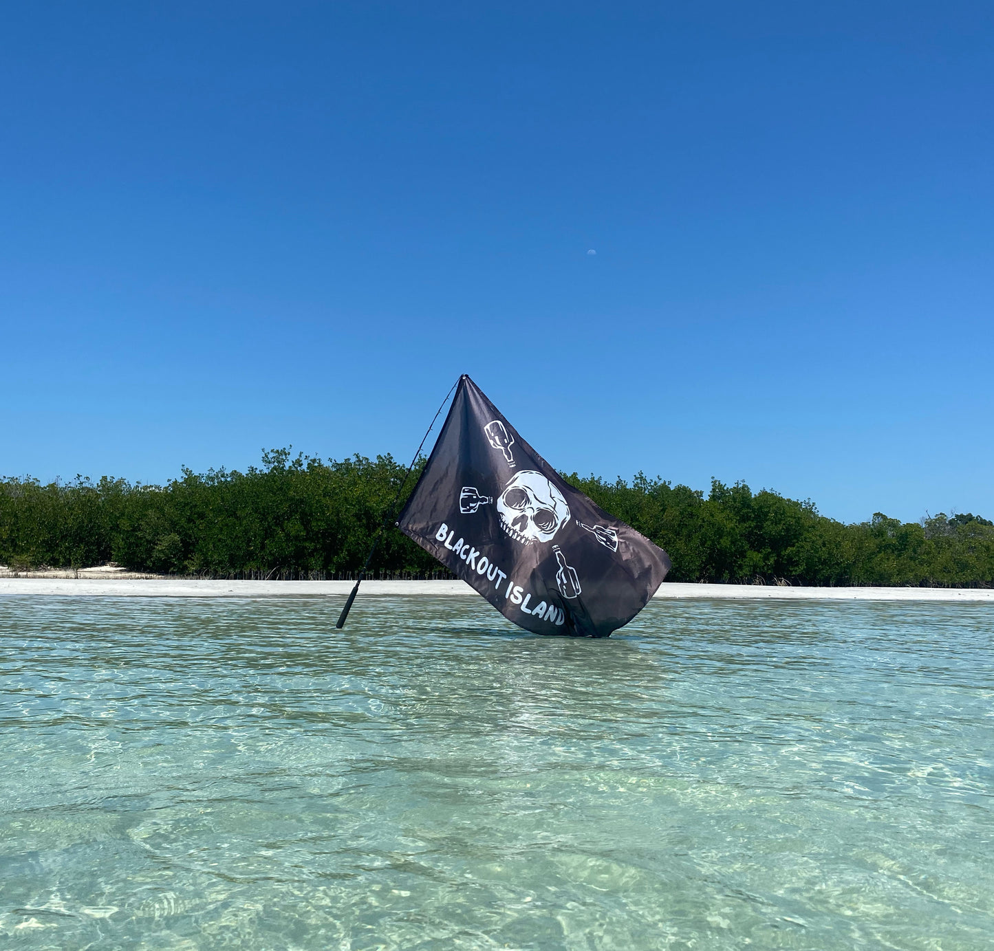 Blackout Island Skull and Bottle Boat Flag